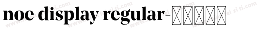 noe display regular字体转换